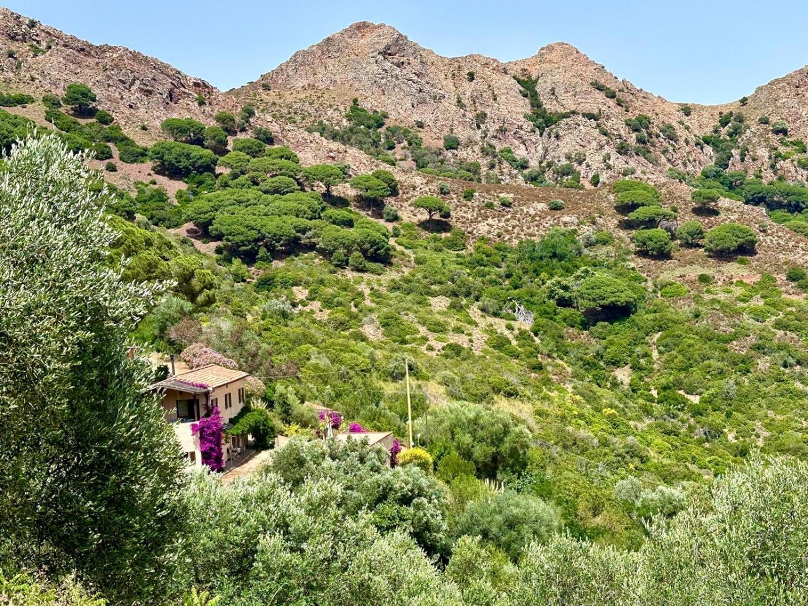 Aria Di Collina - Isola D'Elba Apartment Porto Azzurro Luaran gambar